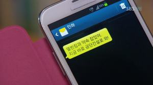 vlcsnap-2013-07-15-08h40m21s161